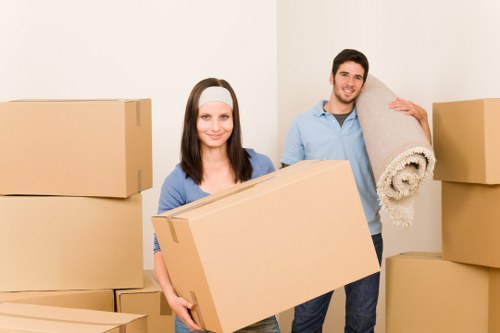 Eco-friendly moving practices in London removals